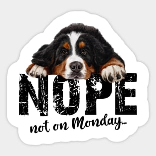 Bernese mountain dog Sticker